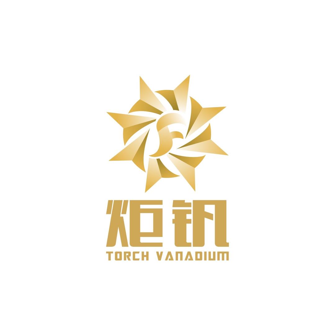 炬钒实业