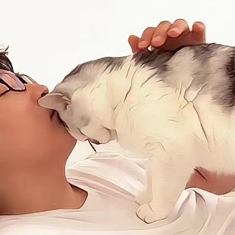 白粑粑和猫