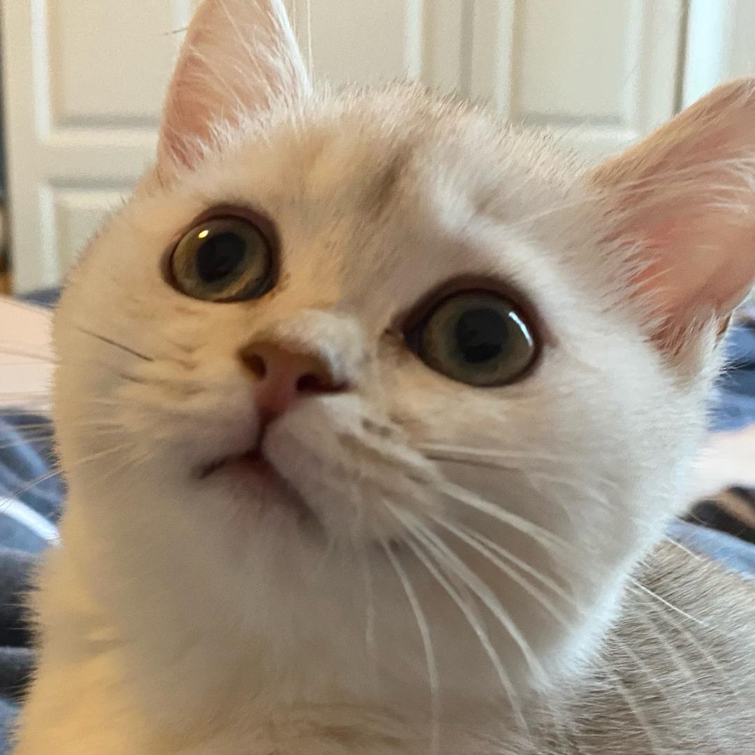 我叫钱小嘚～😾