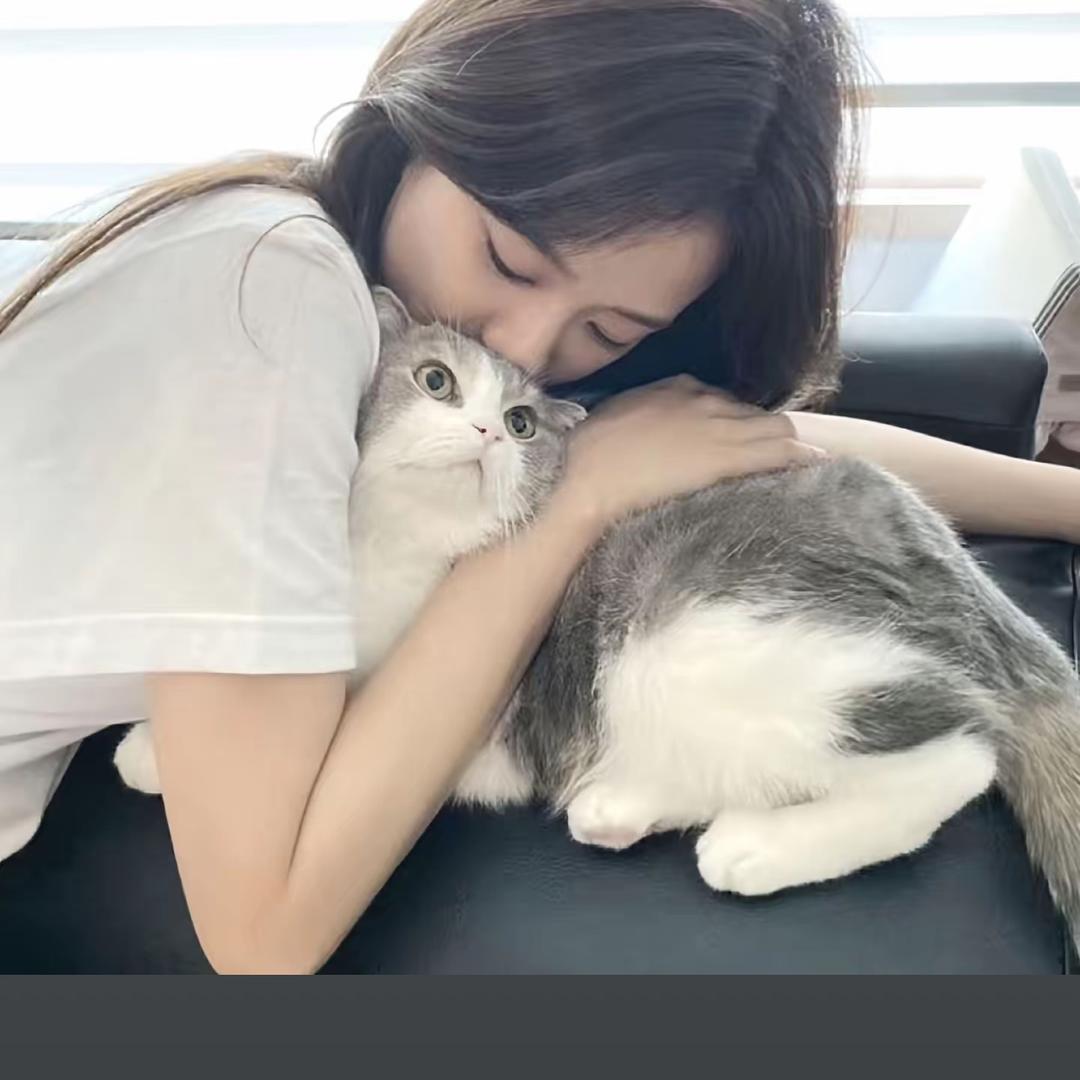 小红薯77