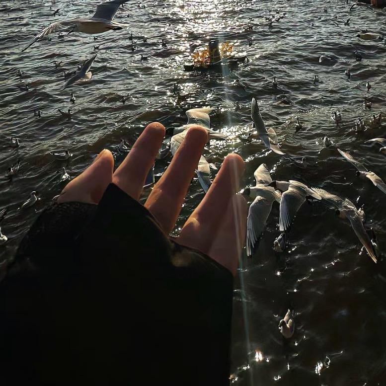 楠尤（亚飞版）