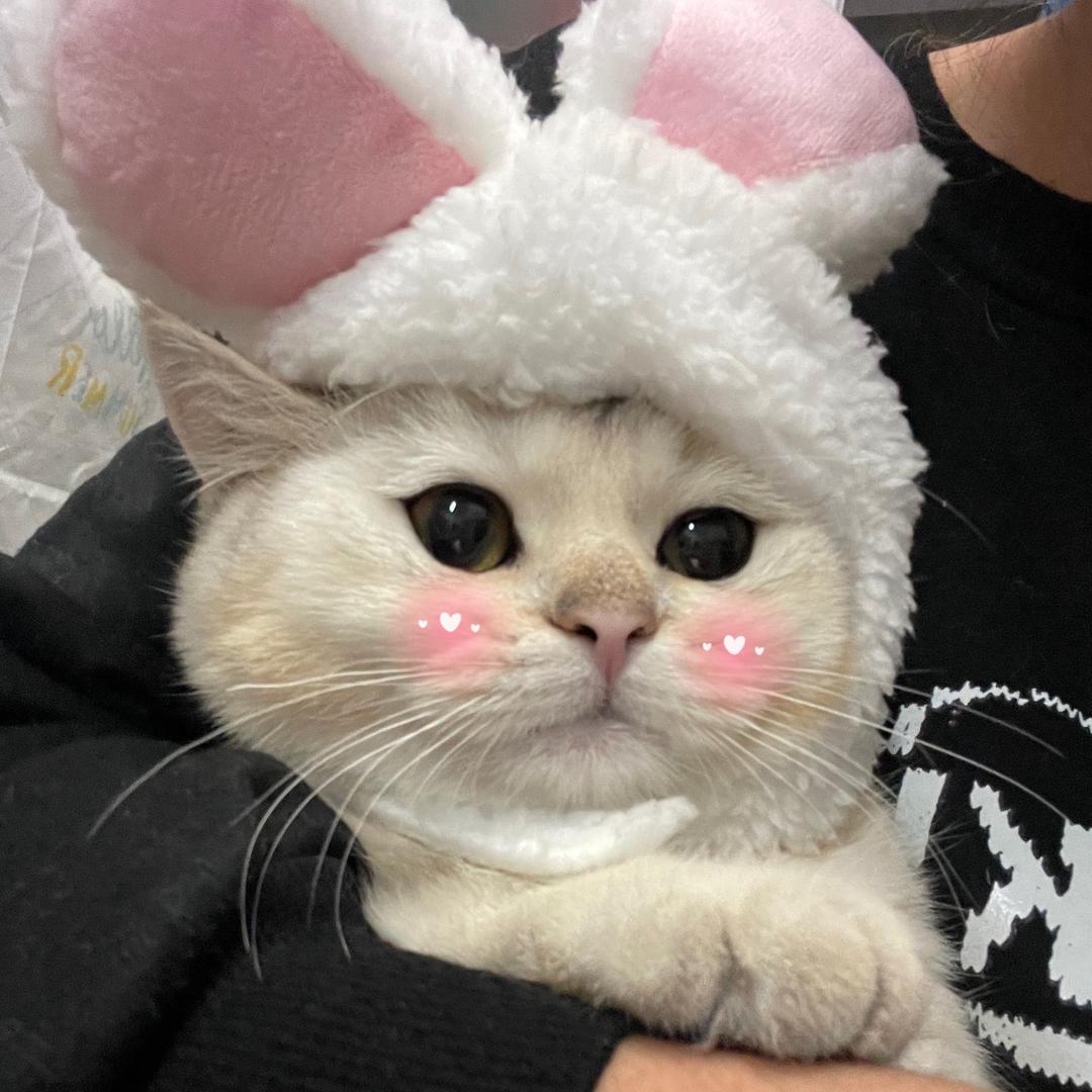 米朵烤黄了