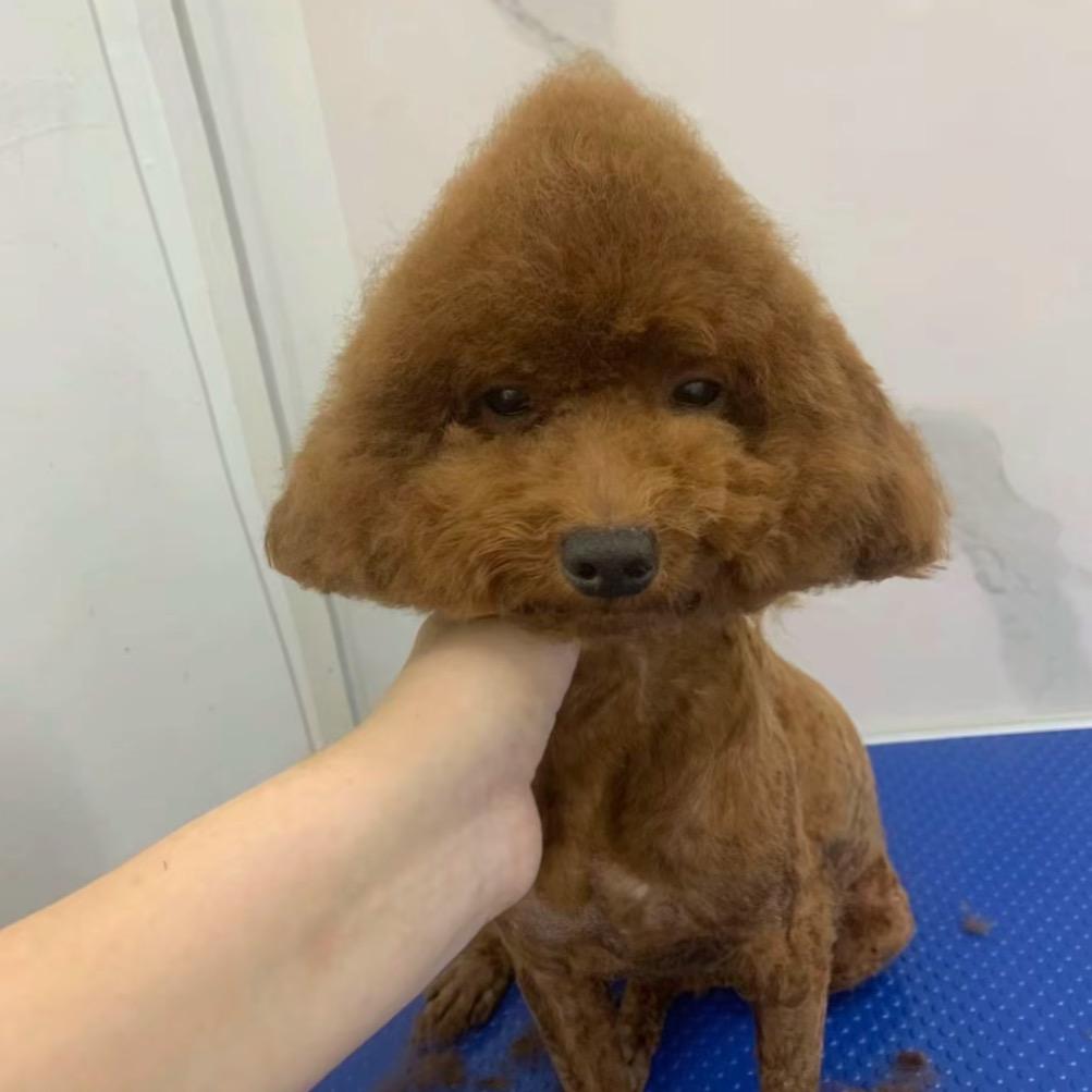 秋