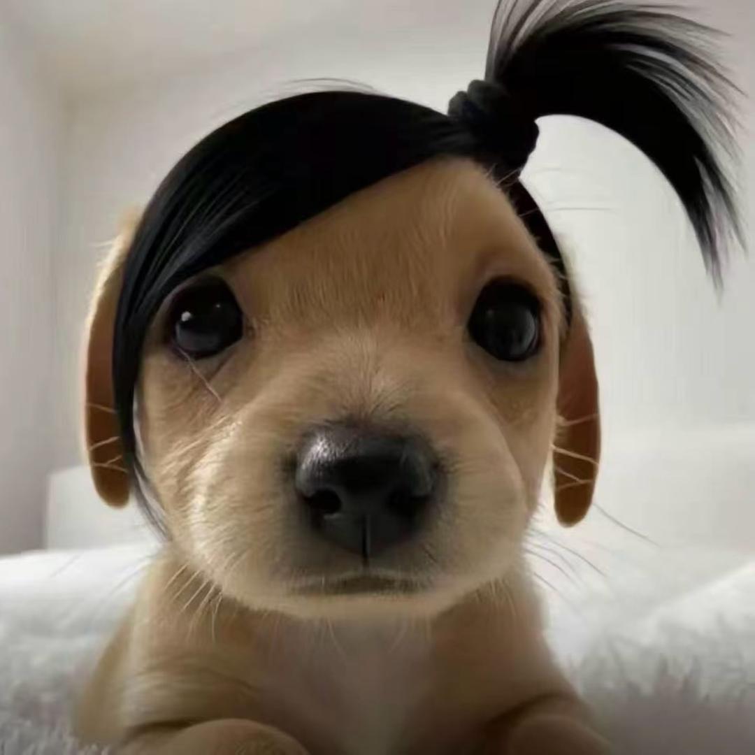 忧郁的学生党
