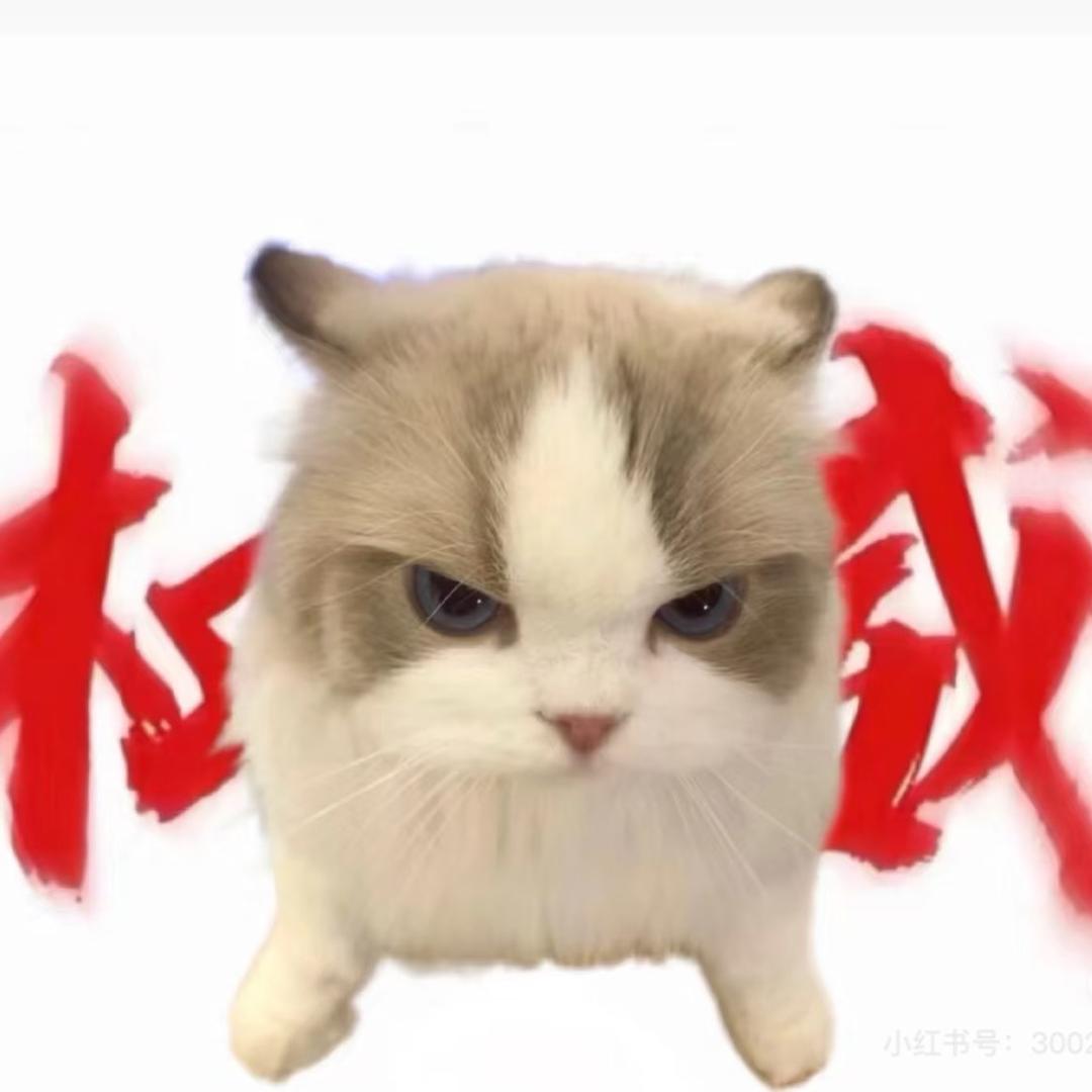 王者荣耀小菜鸡