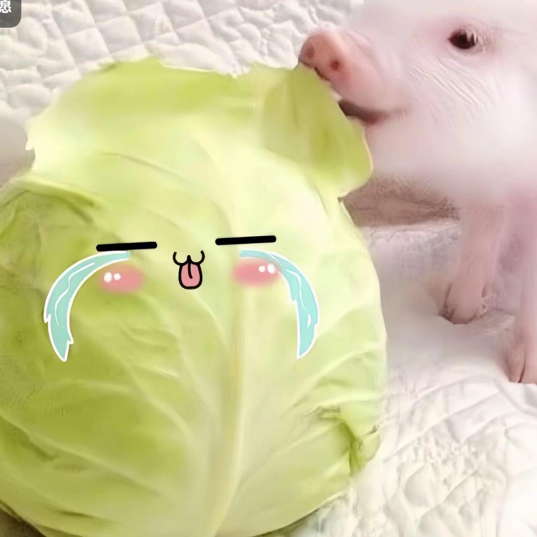 ˶˃ ᵕ ᵒಣ