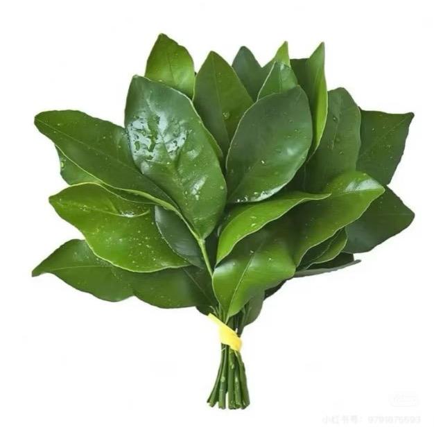 招商紫荆府小蒋