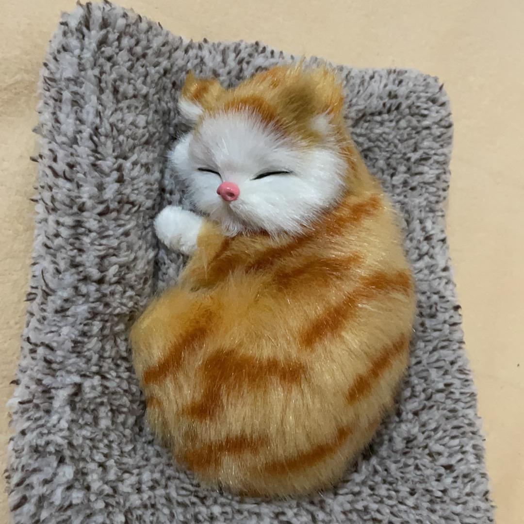 小张