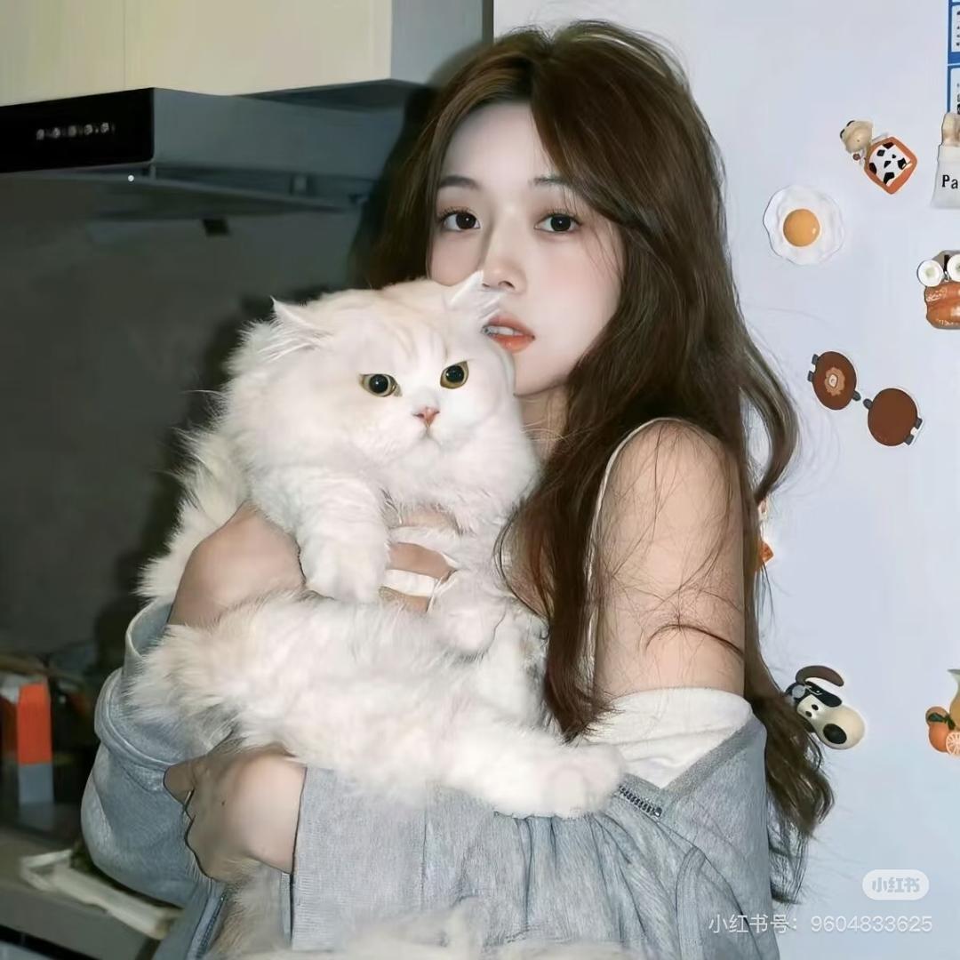 小菲猫咪