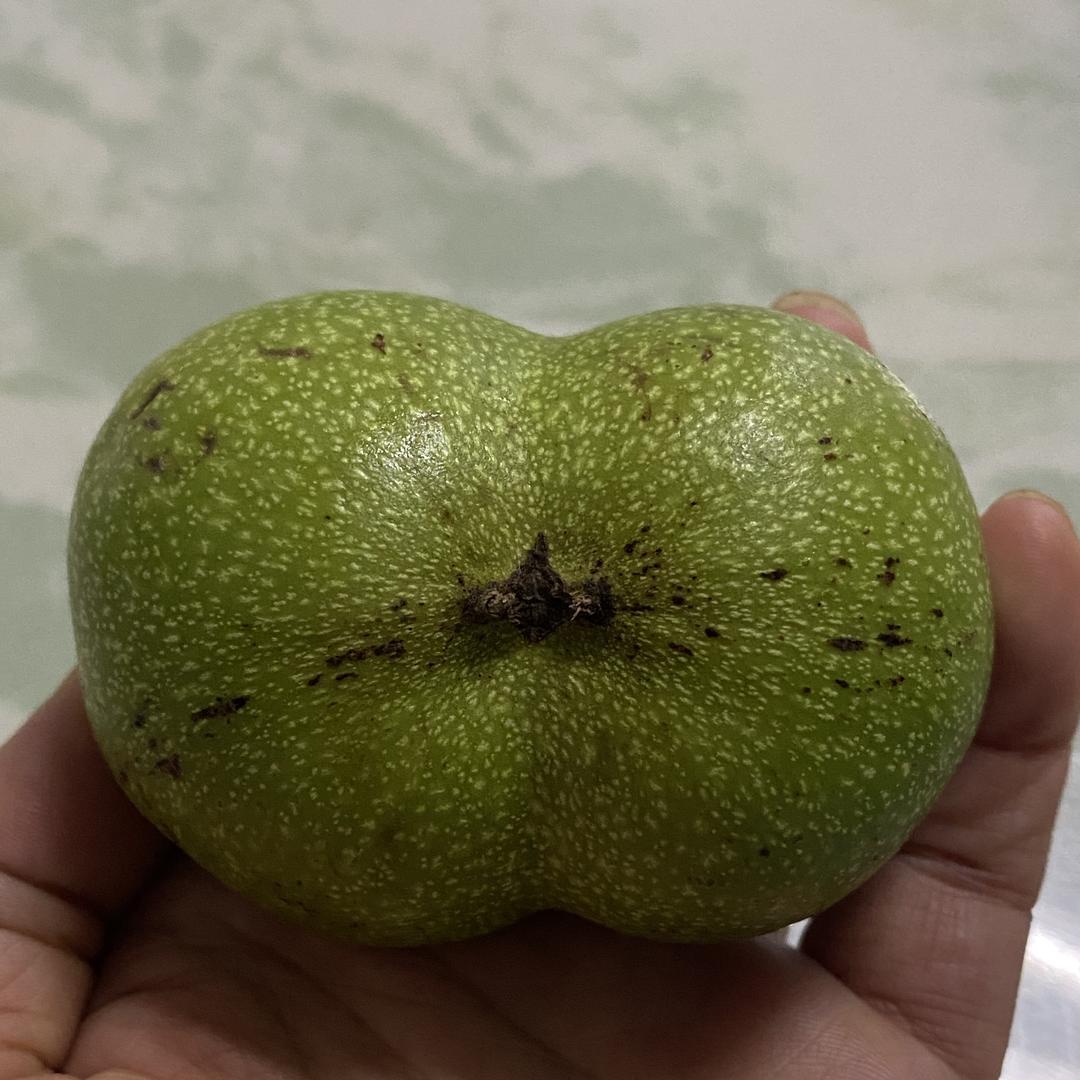 亿祺文玩