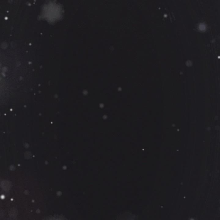 无🈚与无为的存在