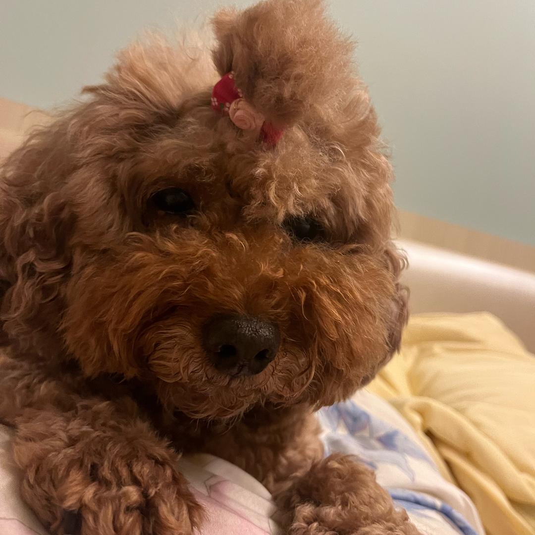 想要飞更高更远
