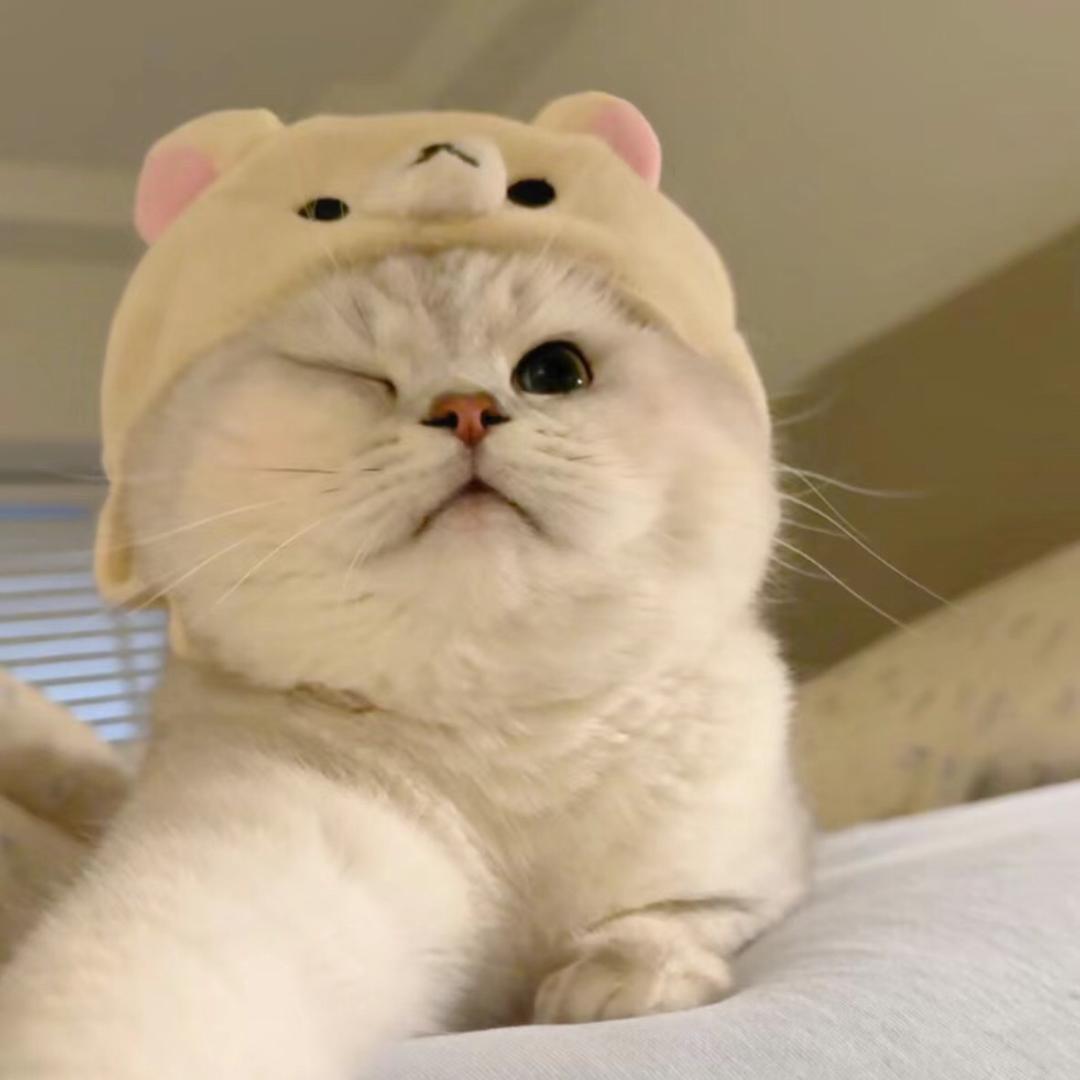 紫禹禹商
