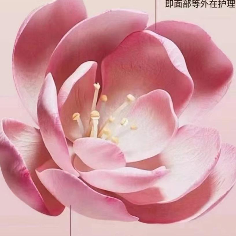 富俪格格私护宫廷秘集