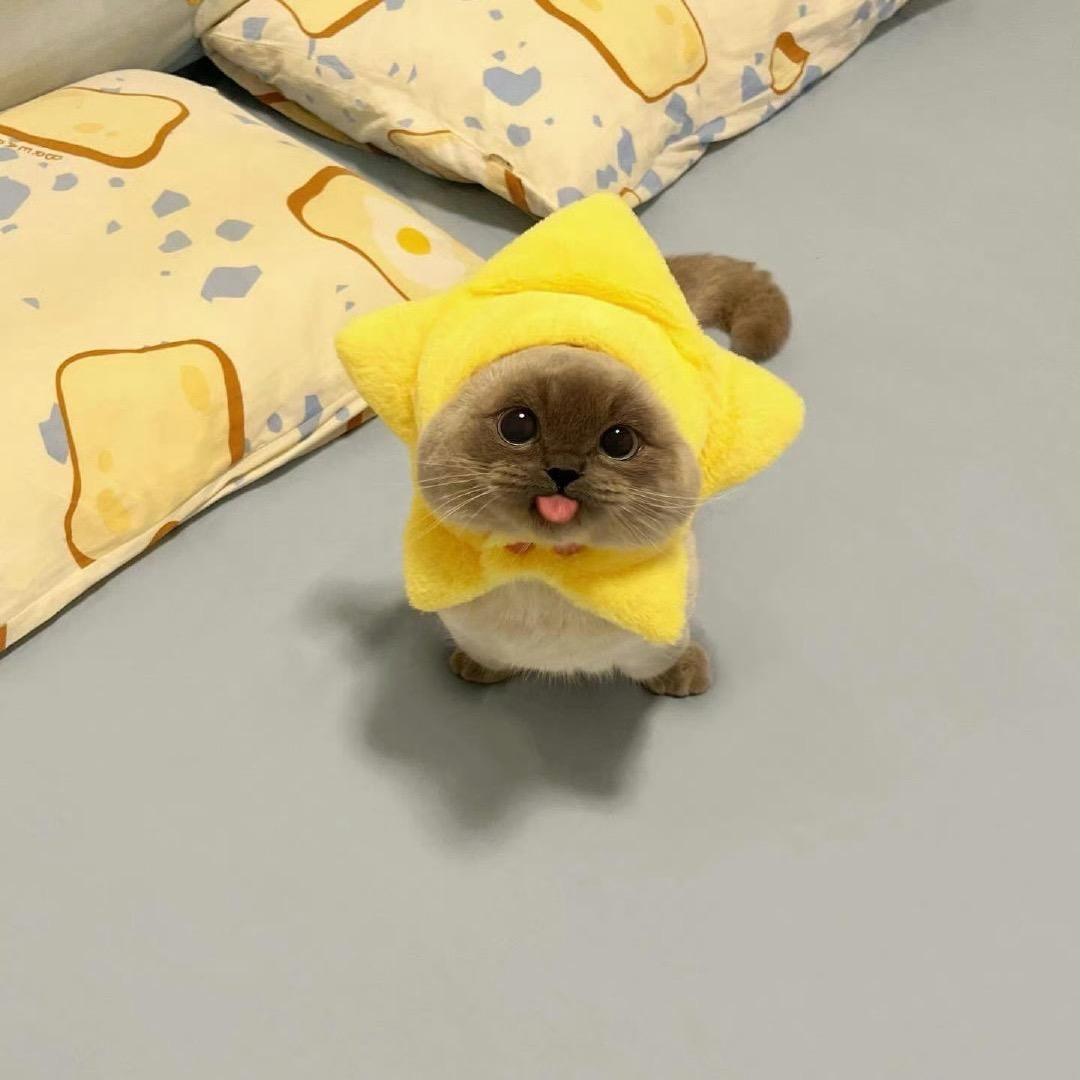 歪是不正