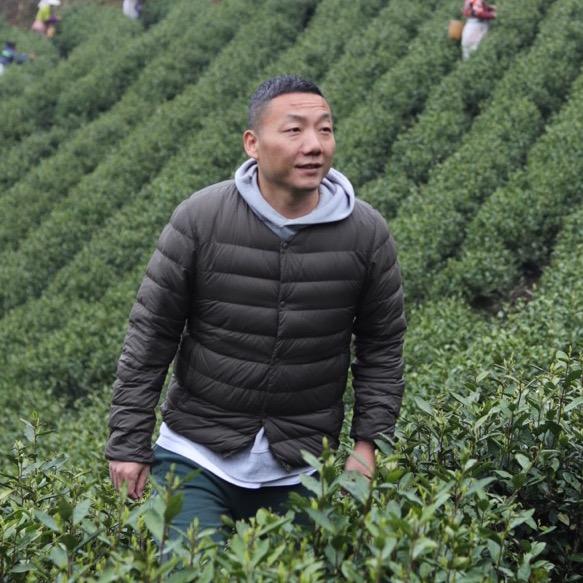 老马的半亩茶园