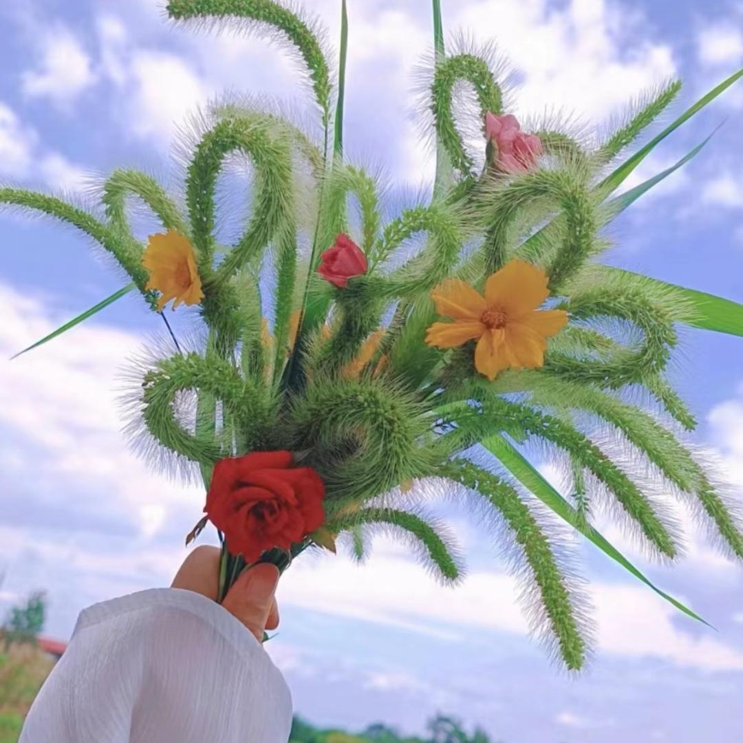 Ꭽℯ⃝落ঞᩚ幕꧔ꦿ᭄