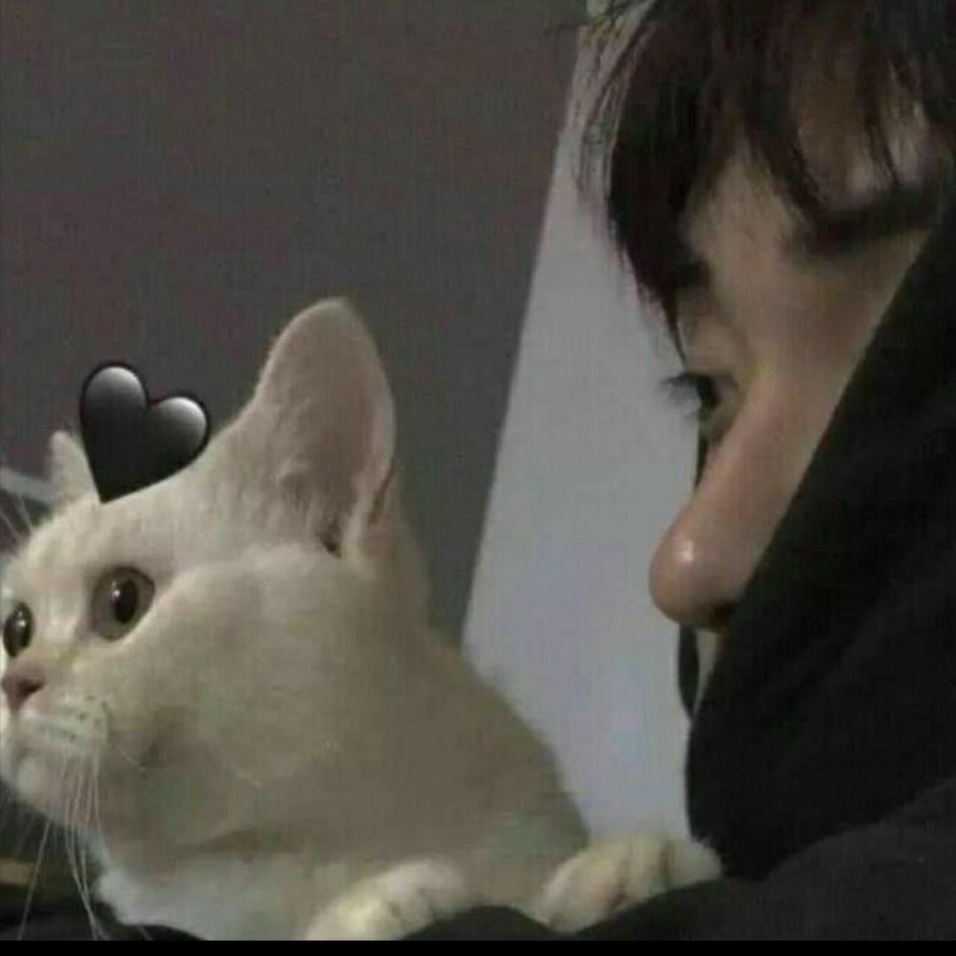 毅不凡.