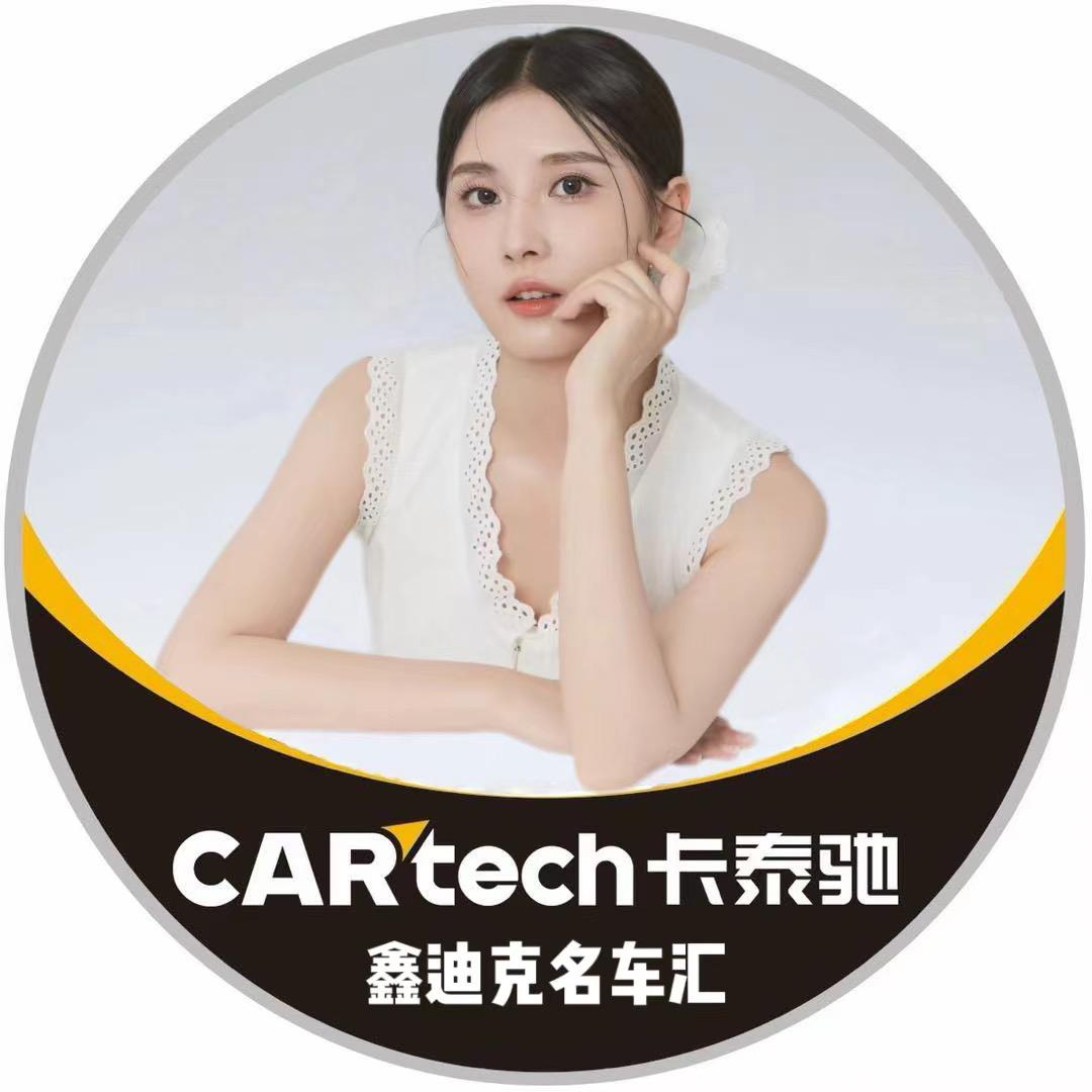 成都卡泰驰鑫迪克九九九