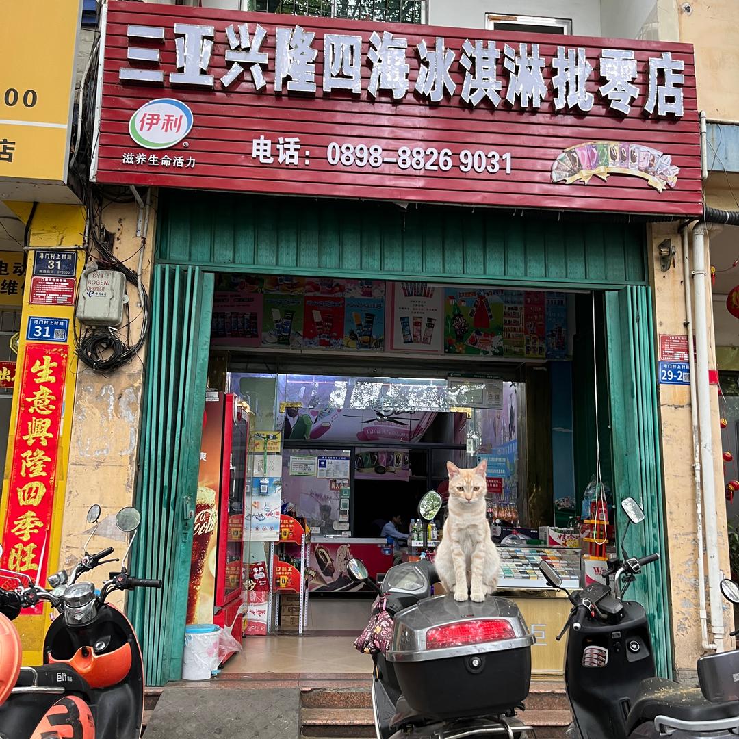 三亚兴隆四海冰淇淋批发（二十年老店）