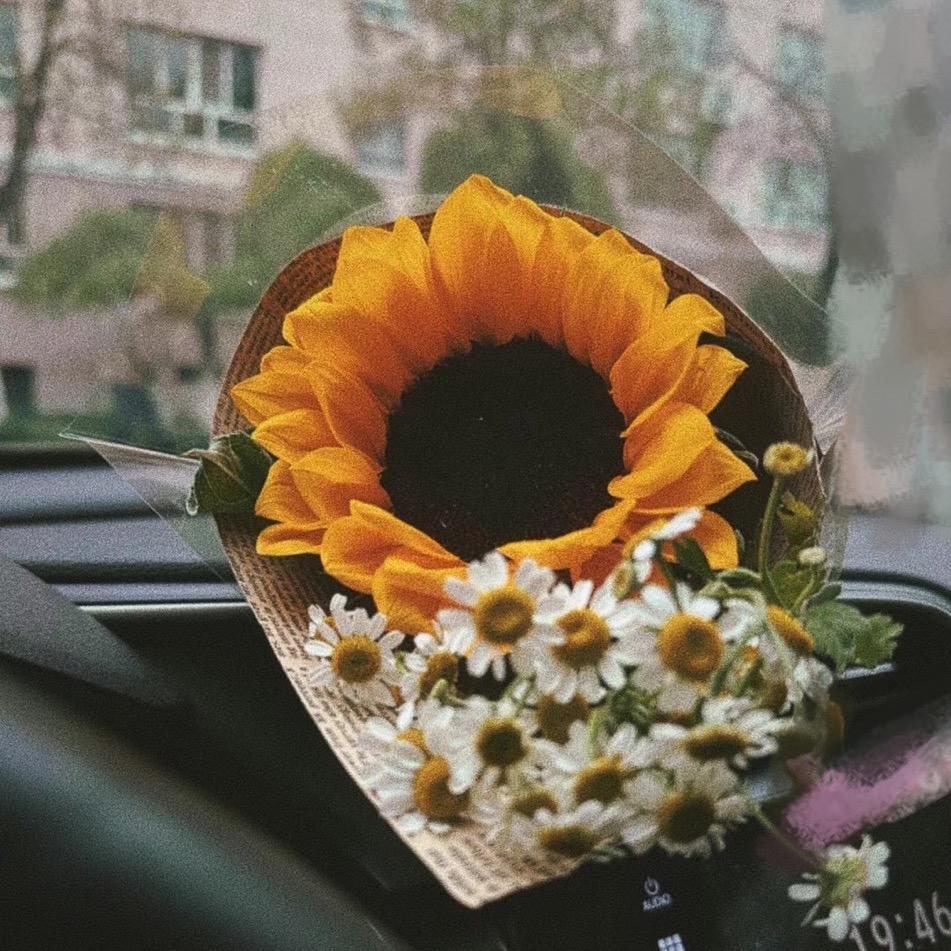 向日葵🌻