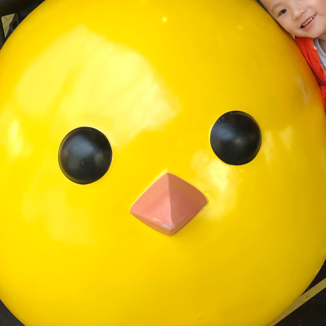 听岚