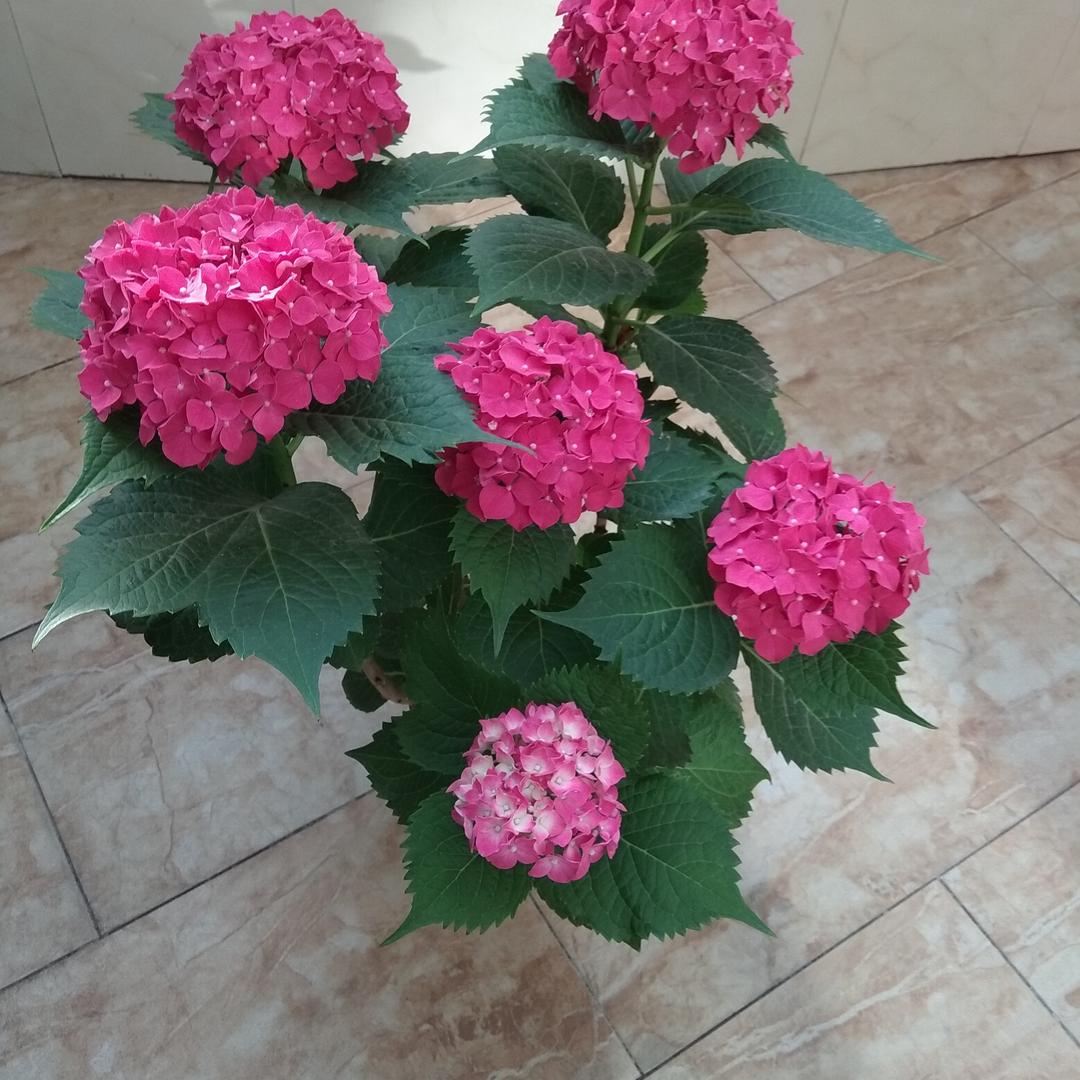 天高任鸟飞，海阔任鱼跃。