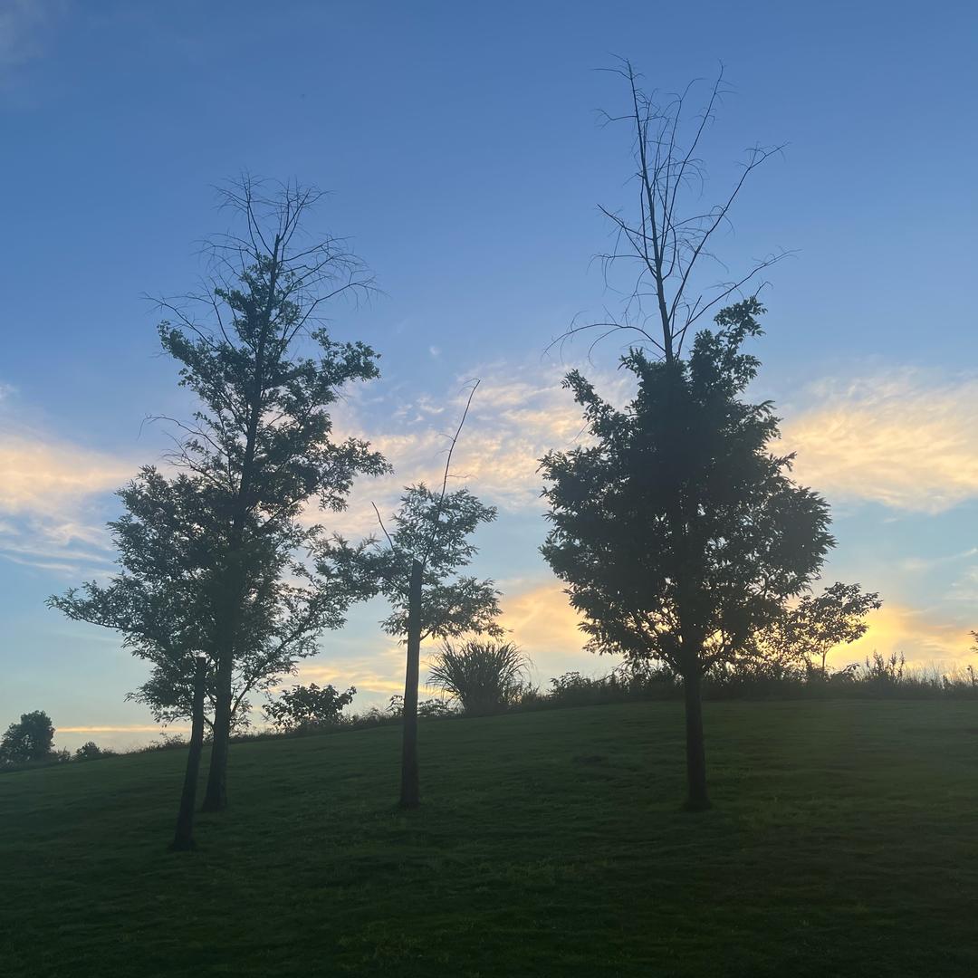 像我这样的大师