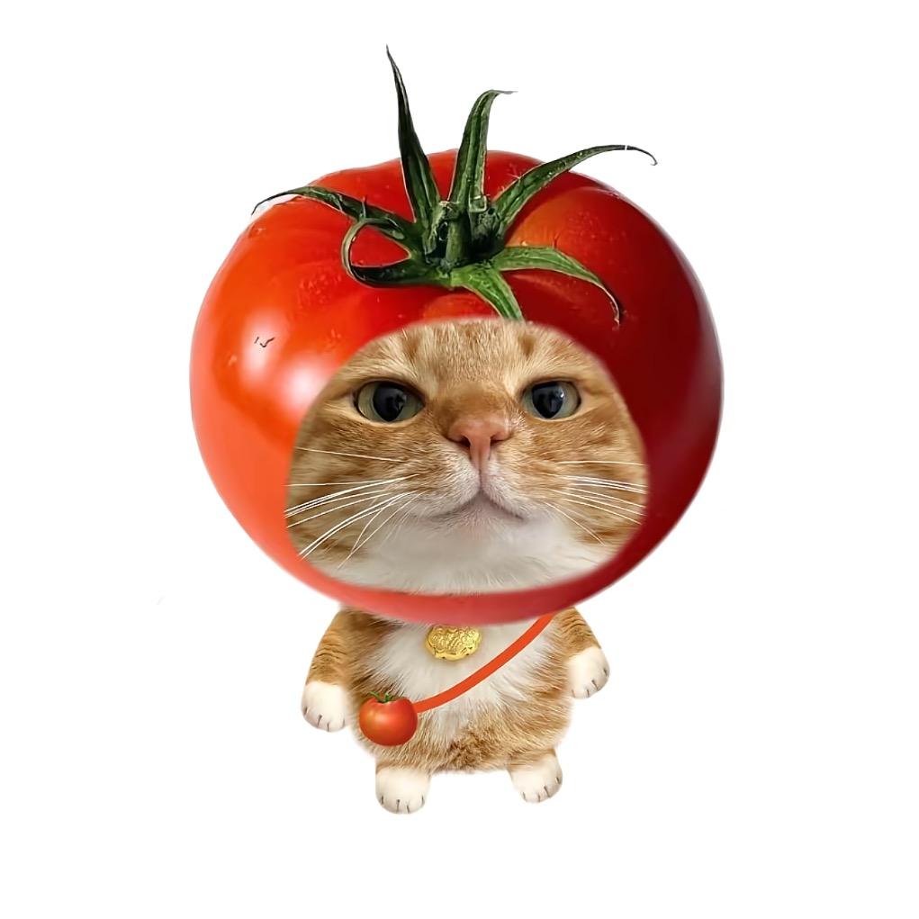 GaZn