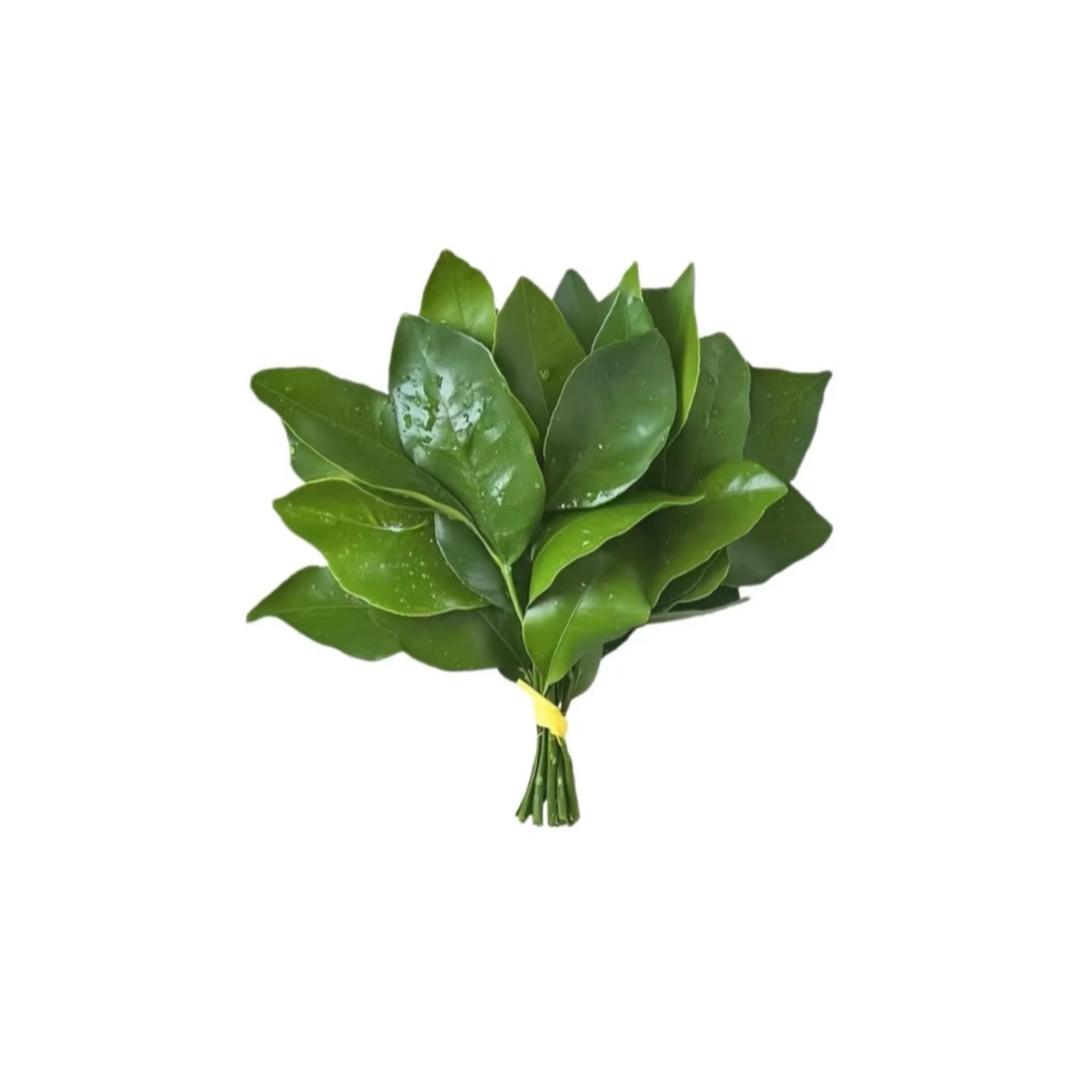 露丝