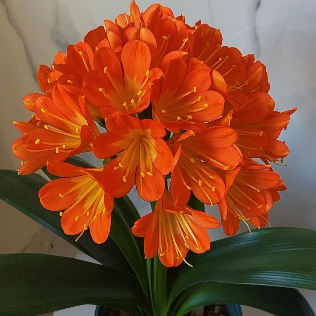 顺其自然（石）拒私聊