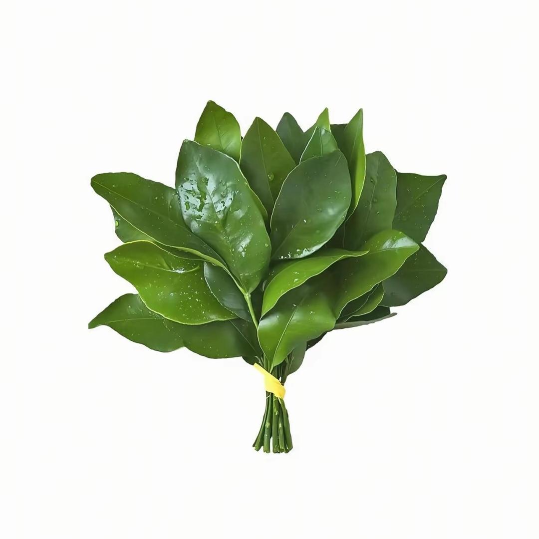 阿比.