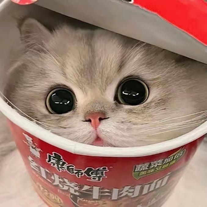 叫我小杰大王