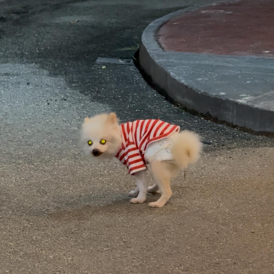 Vivi
