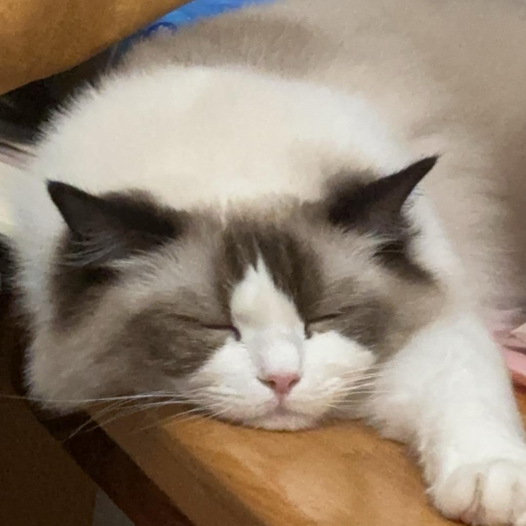 朝阳（三角洲行动）