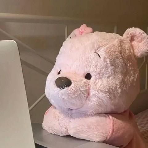 汪汪爱摄影