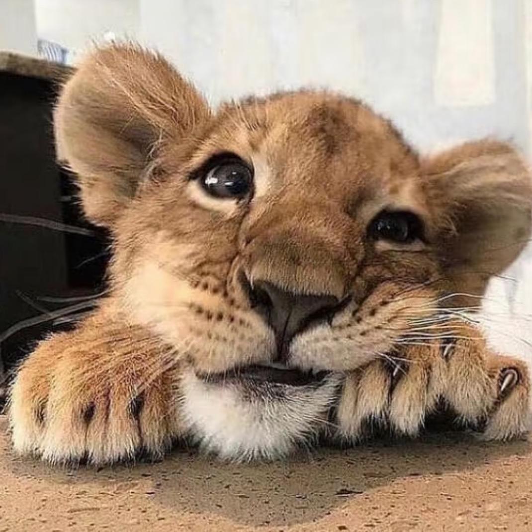 你得给俺个说法