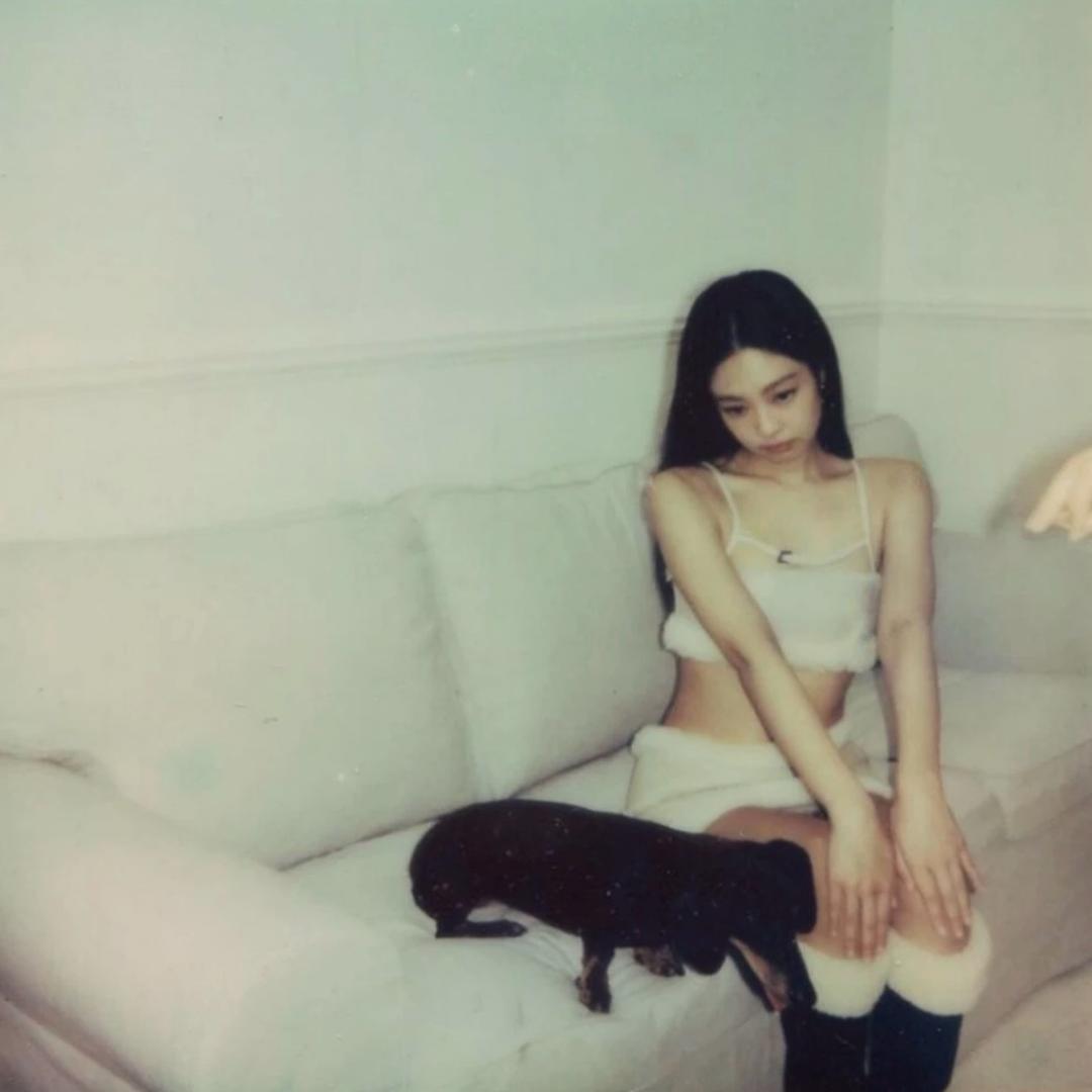 我比纸巾还能扯