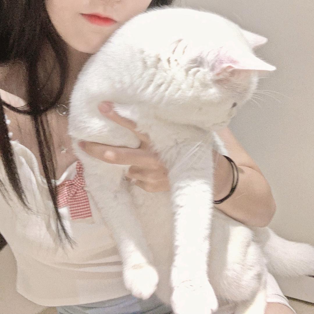 洲洲