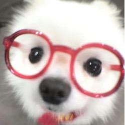 鱼十三头像