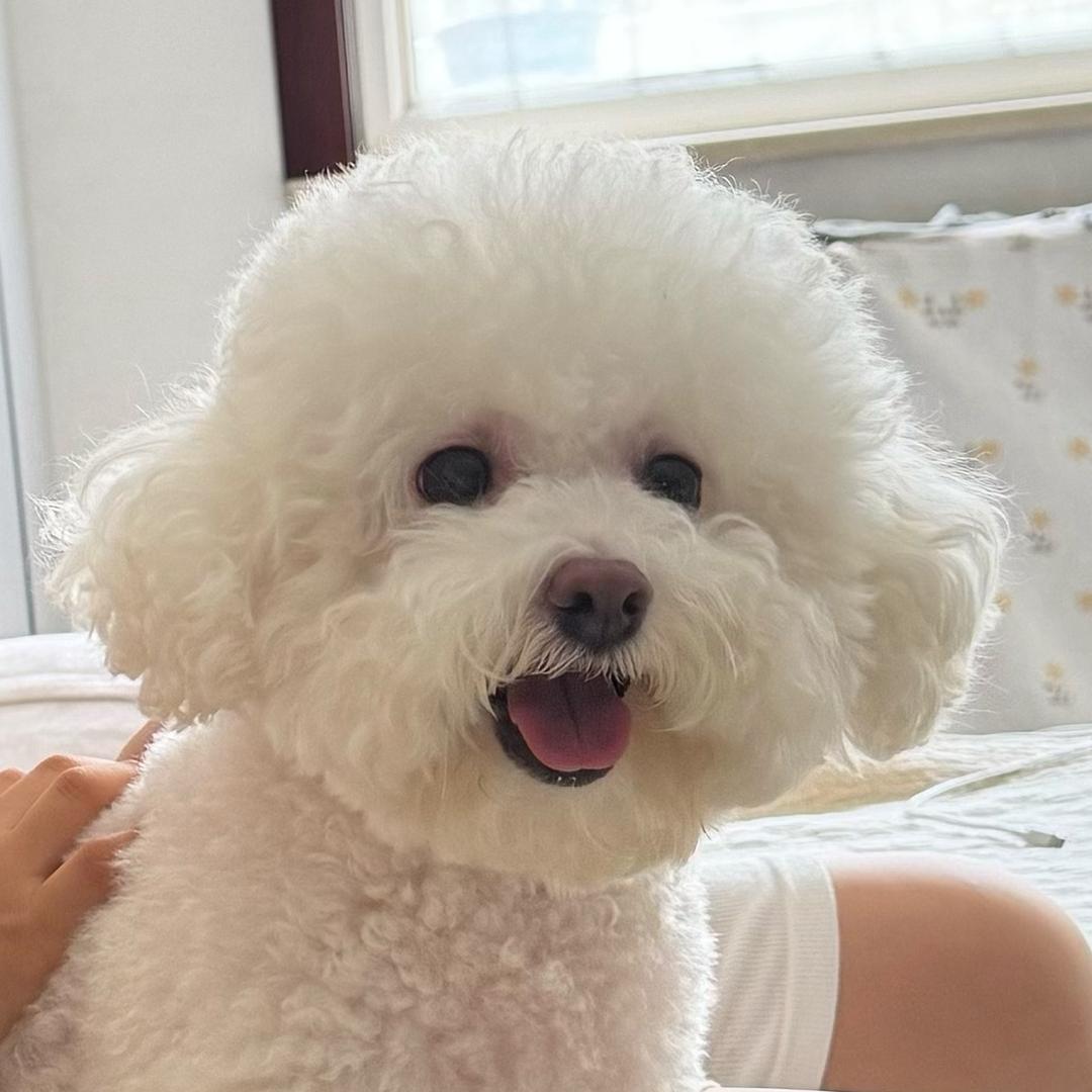 阿辰