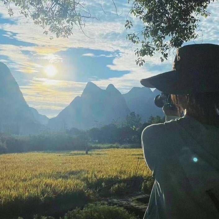 任性的小绵羊