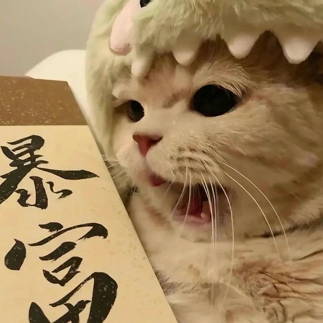 养只猫