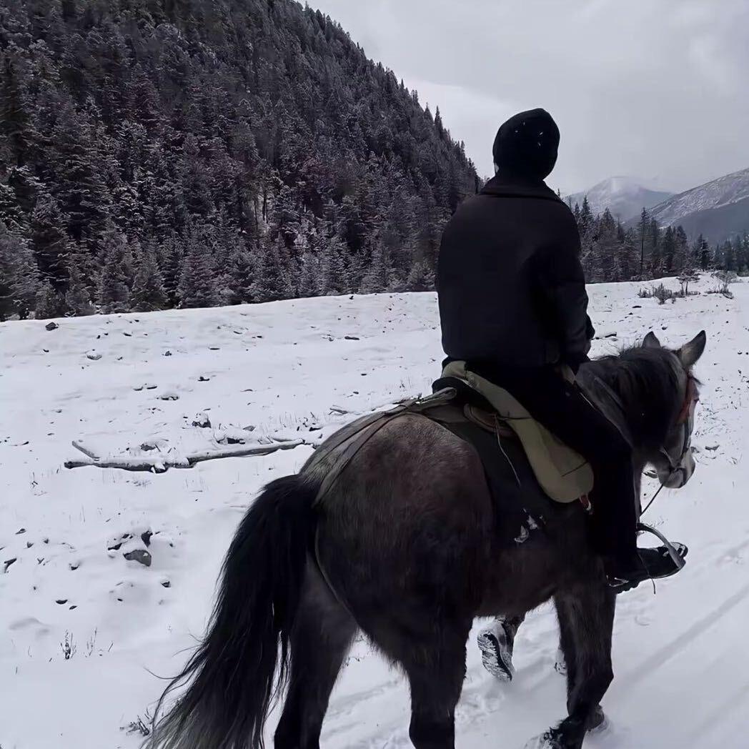 🌨️🌨️🌨️