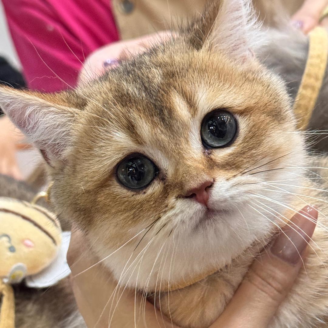葵葵🌻🐙