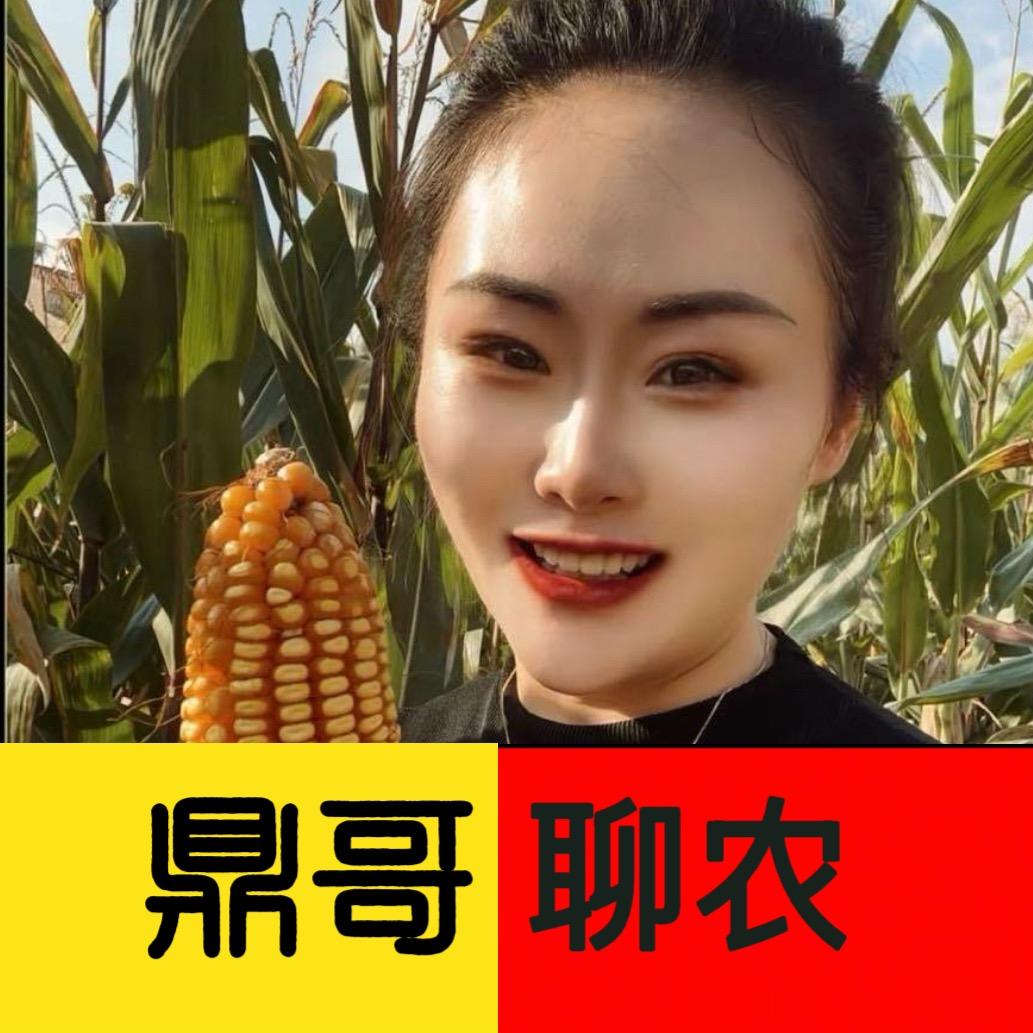 鼎哥聊农(鼎哥农资)