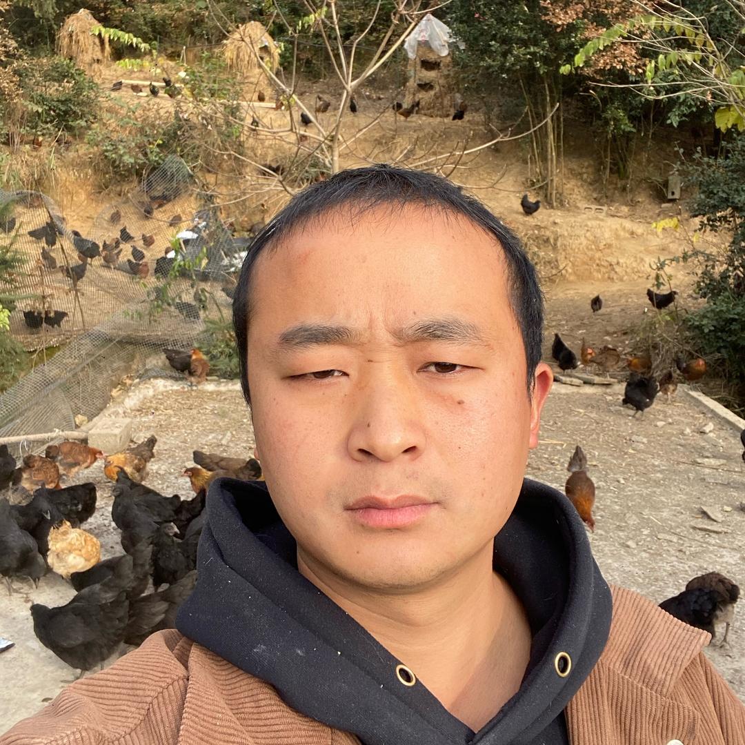 小尹的生态农场（绿色喂养）
