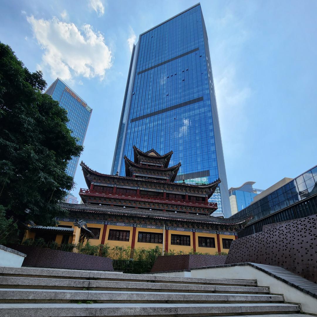 公子轩91