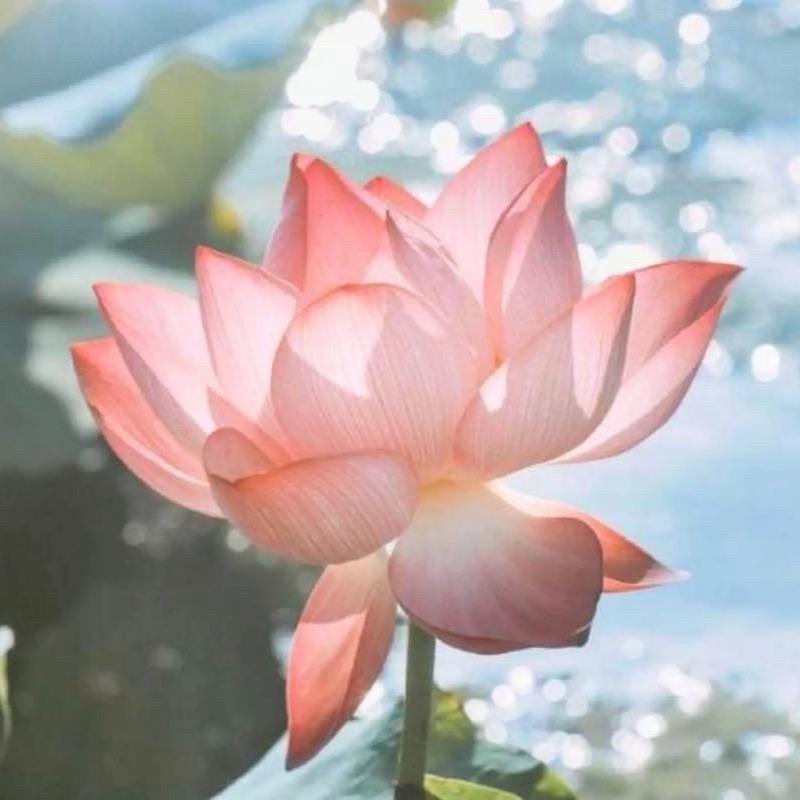 欣扬宝贝