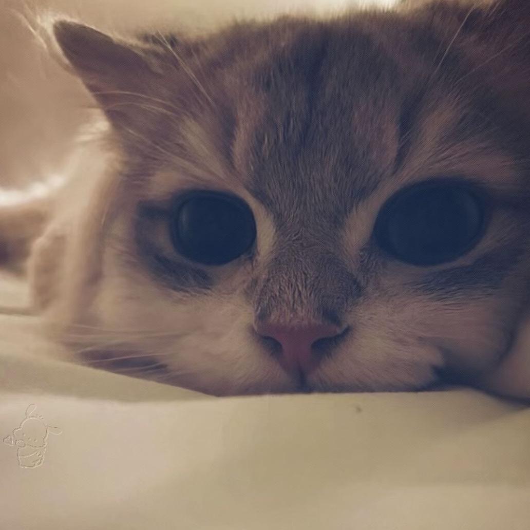 o.o